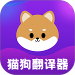 宠物猫狗交流