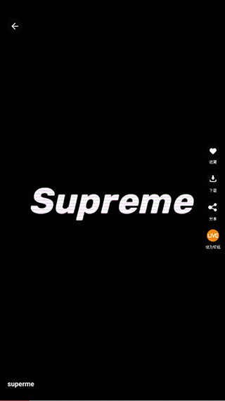 手机动态壁纸app