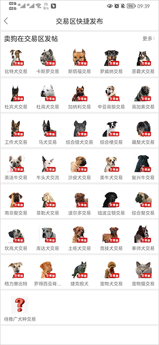 猛犬俱乐部app