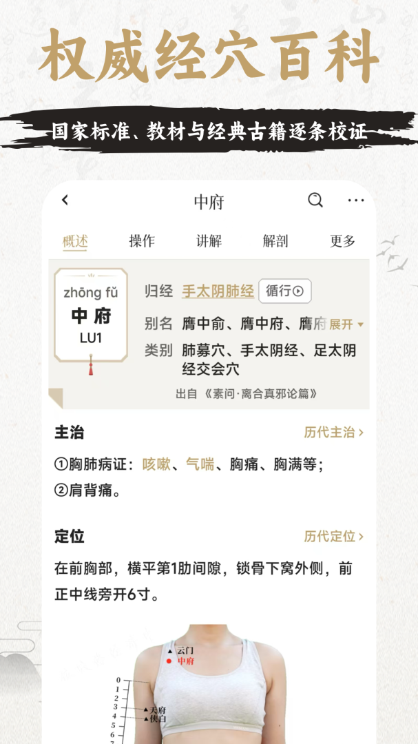 中济经络穴位