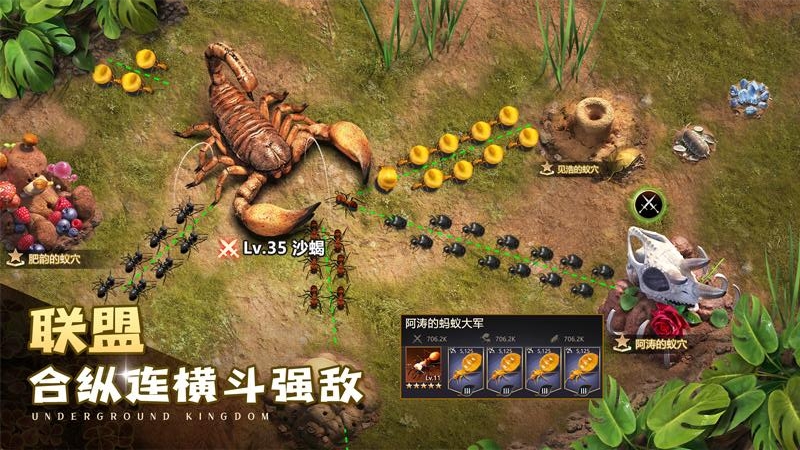 小小蚁国bilibili版