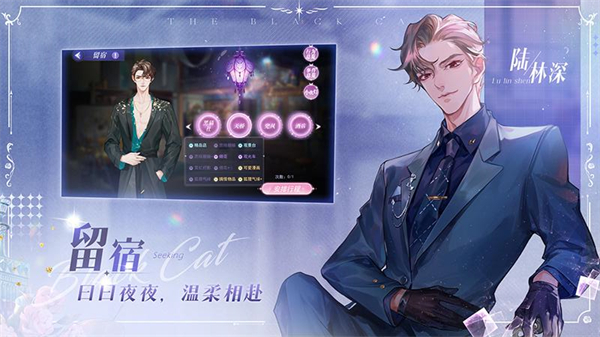 黑猫奇闻社vivo版