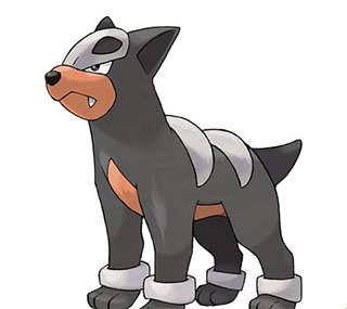 口袋觉醒华为版