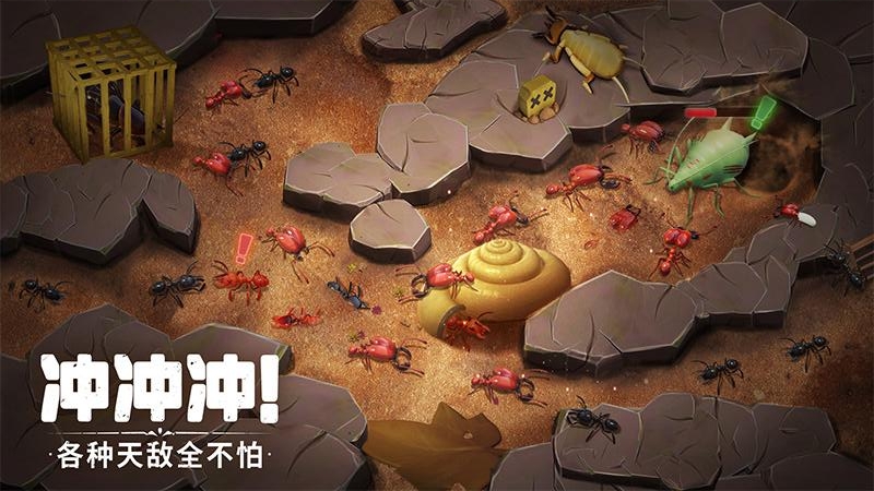 蚁族崛起小米版