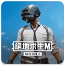 PUBG MOBILE台服