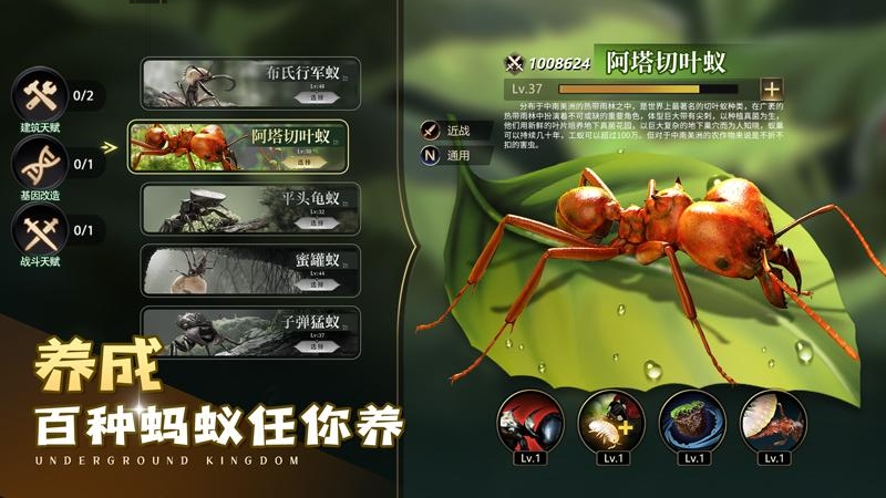 小小蚁国bilibili版