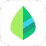 薄荷记账官方app最新版本