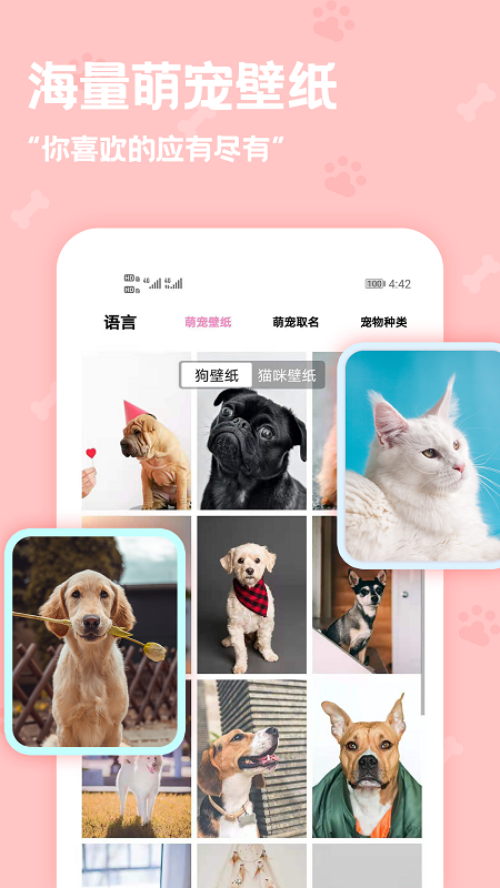 动物语言翻译器2024版