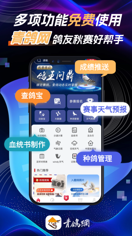 青鸽网app