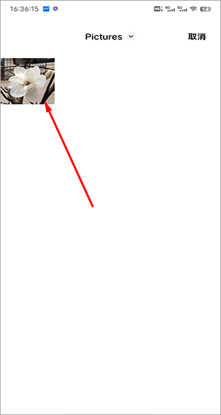 拍照识花神器官方版