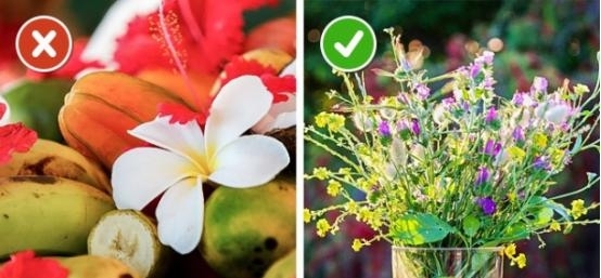 娟蝶鲜花官方版