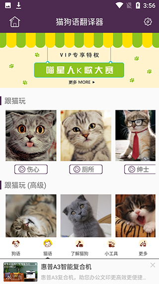 猫狗语翻译器官方版