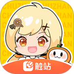 触站官方正版