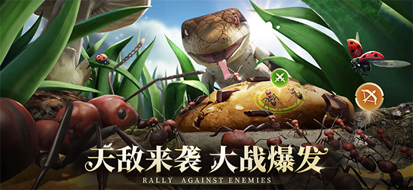 The Ants(小小蚁国国际版)