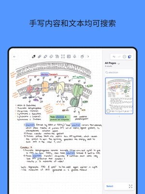 Notability