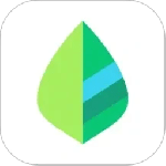 薄荷记账官方app最新版本