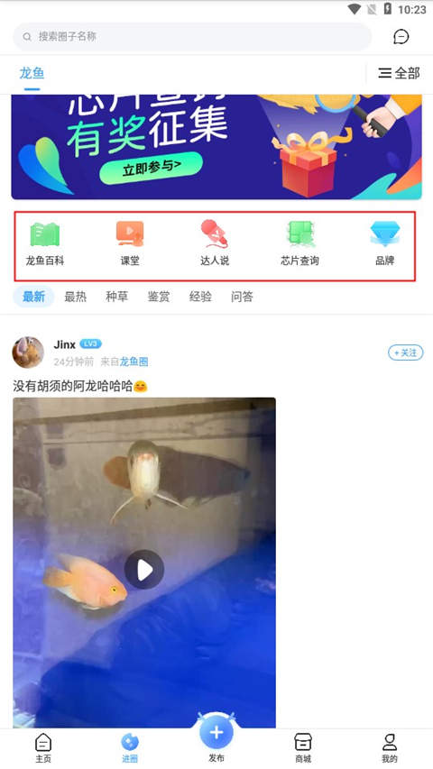 龙巅app