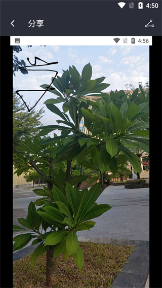 照片水印官方版