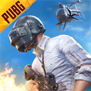 pubg绝地求生台服