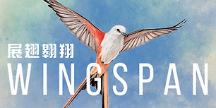 展翅翱翔