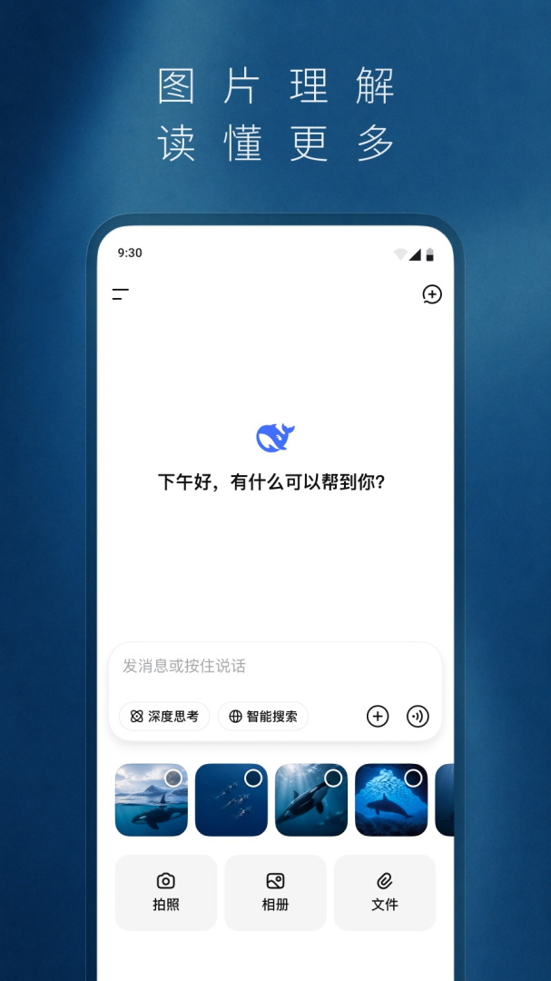 DeepSeek