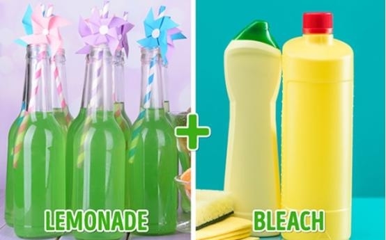 娟蝶鲜花官方版