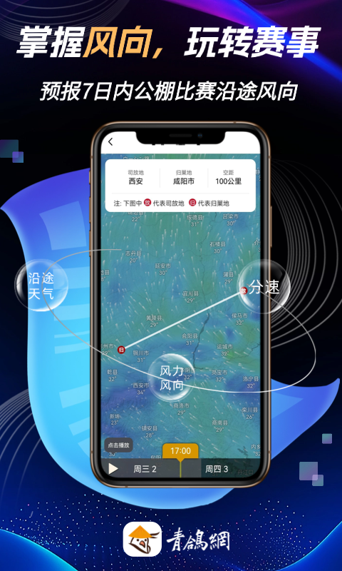 青鸽网app