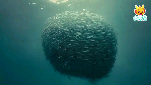 小伴龙海洋世界官方版