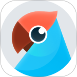 有道翻译官青少年版