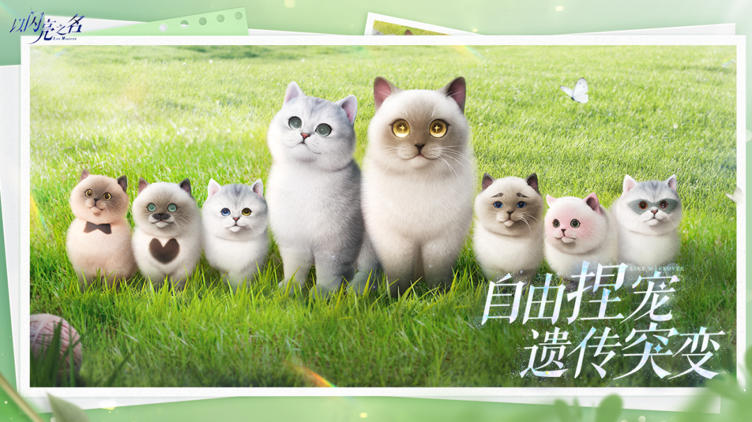 以闪亮之名日服