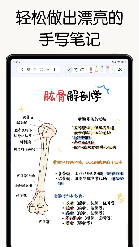 自由笔记官方正版