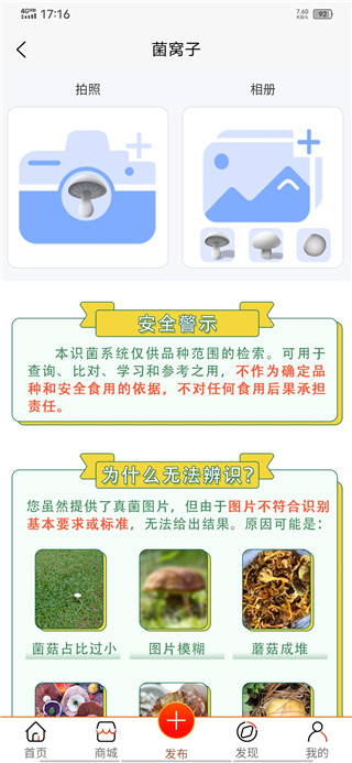 菌窝子官方正版