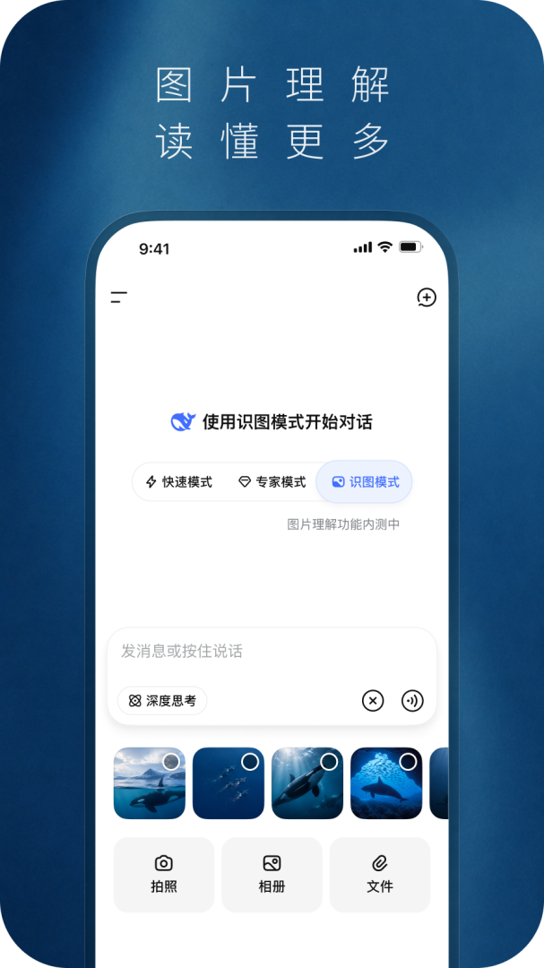 DeepSeek