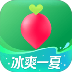 叮咚买菜2024版
