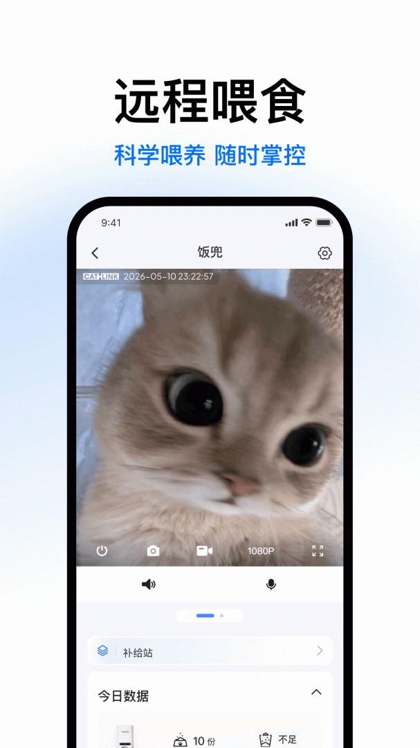 Catlink官方正版