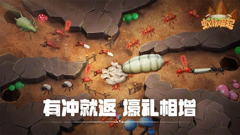 蚁族崛起小米版