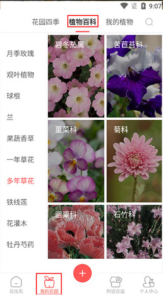 花信最新版app