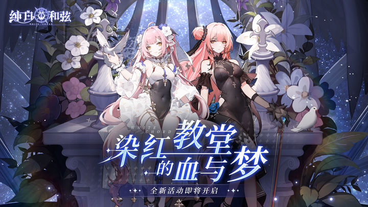 纯白和弦国际服