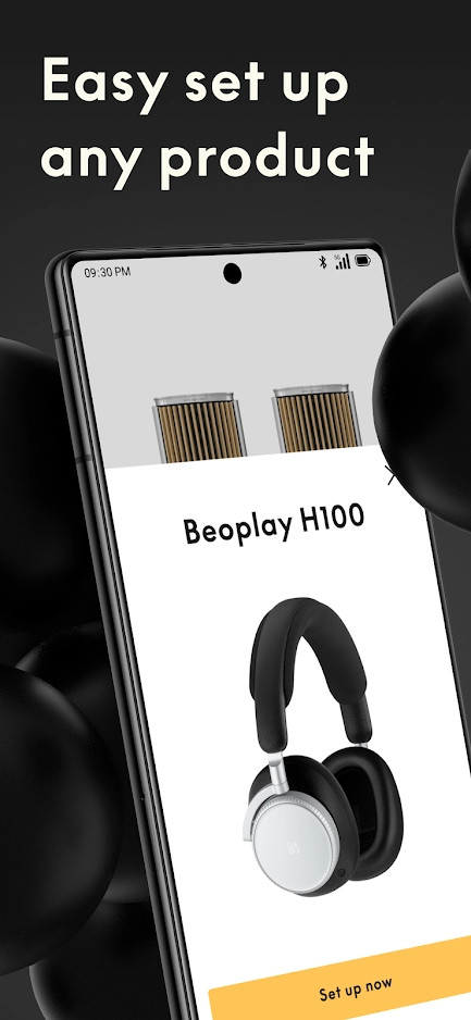 bang&olufsen