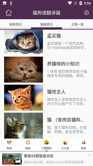 猫狗语翻译器官方版