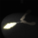 细菌边缘测试版