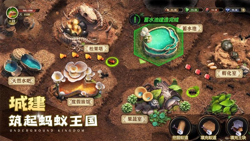 小小蚁国bilibili版