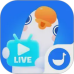 鹅直播app