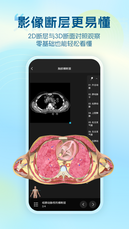 维萨里3D解剖app