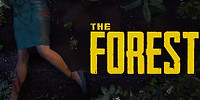 The Forest