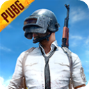 pubg绝地求生体验服