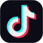 抖音大字版app