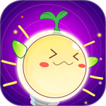 金桔思维app