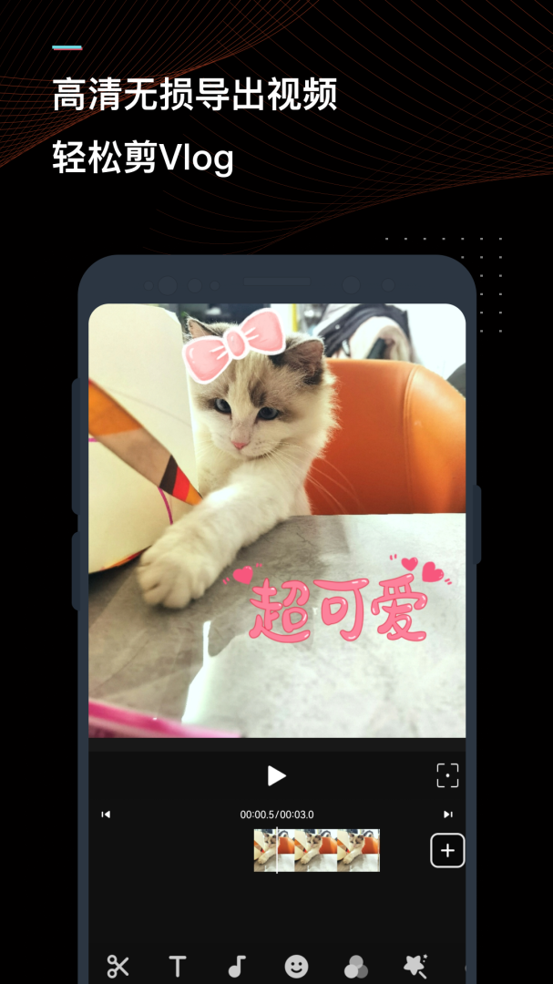 迅捷视频转换器最新版