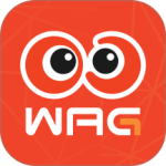 看个比赛最新官方版